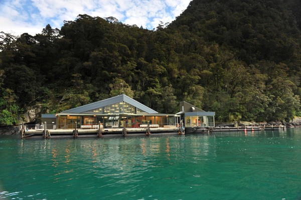 Milford Discovery Centre & Milford Deep underwater observatory